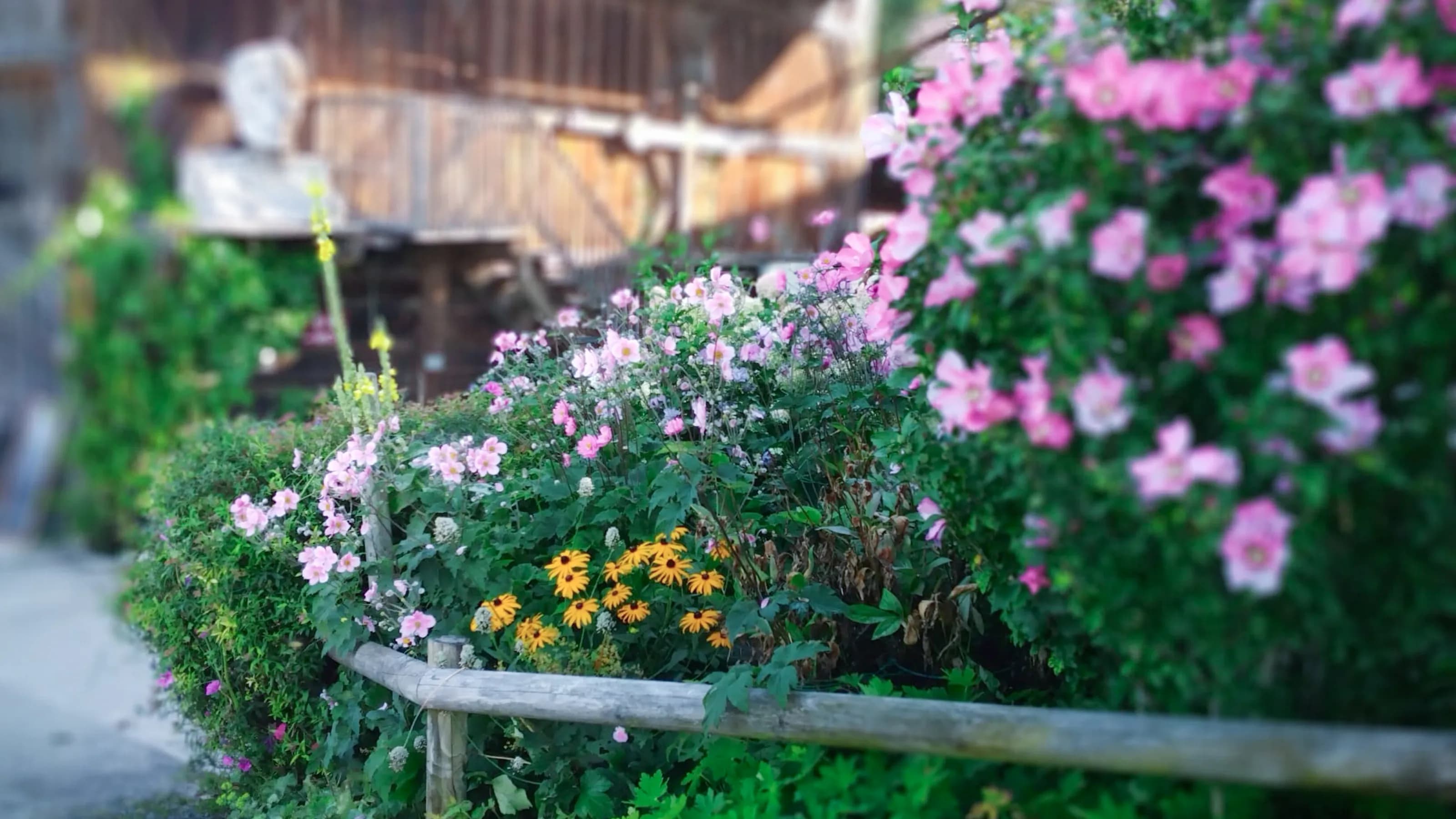 Garten Immling
